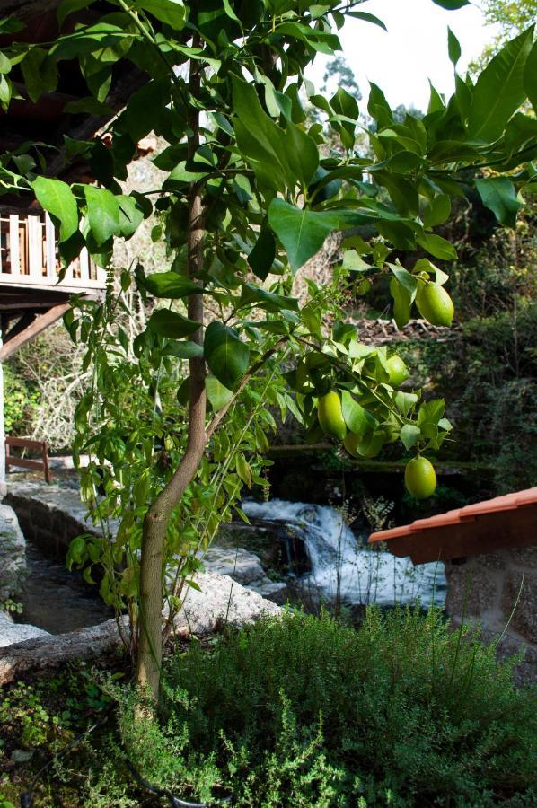 Quinta Das Bollotas Villa Fafe Bagian luar foto