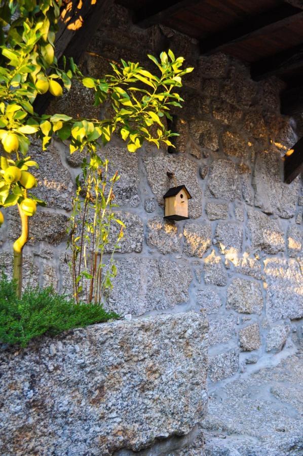 Quinta Das Bollotas Villa Fafe Bagian luar foto