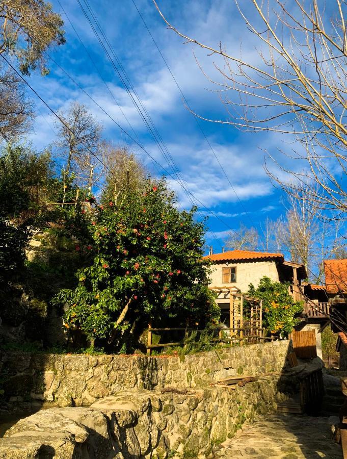 Quinta Das Bollotas Villa Fafe Bagian luar foto
