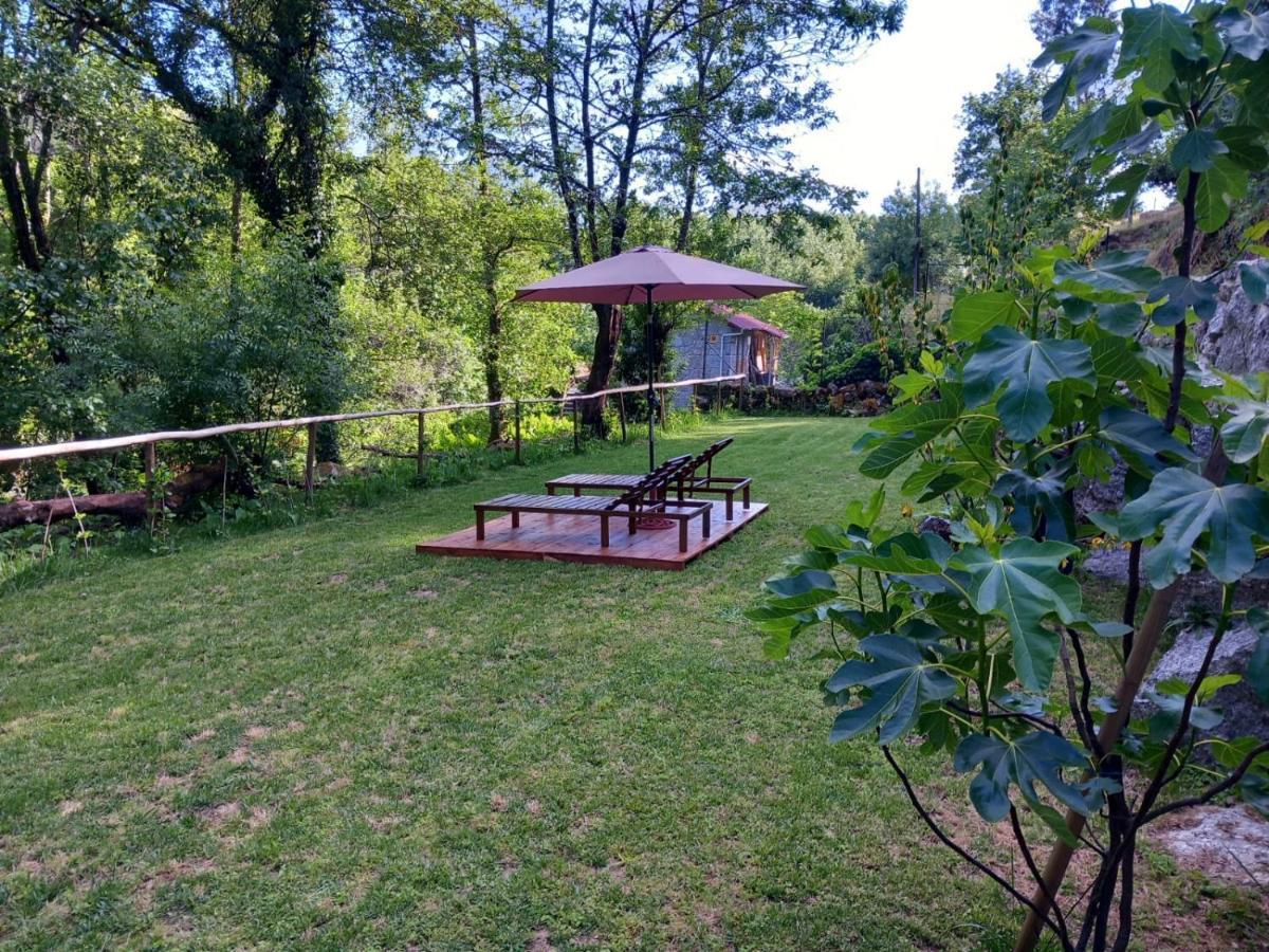 Quinta Das Bollotas Villa Fafe Bagian luar foto